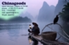 China Goods
